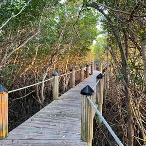 Meet your Posher, Yani